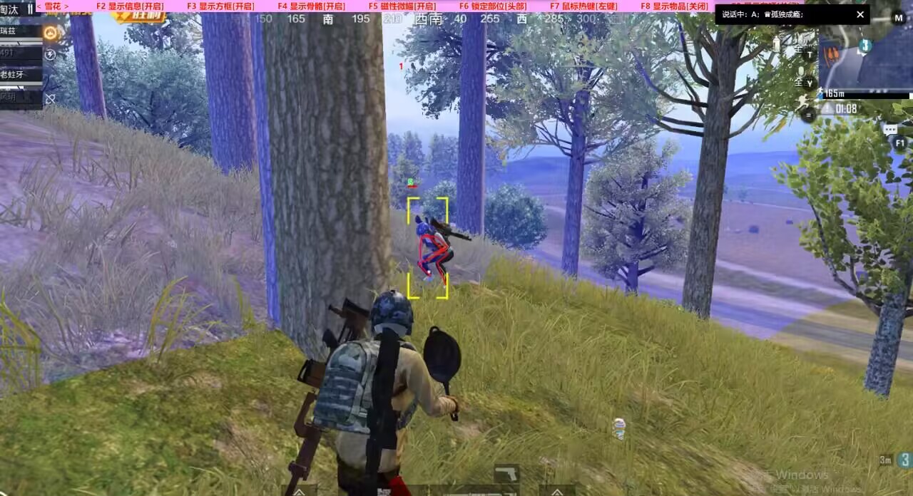 和平精英【雪儿内核】辅助